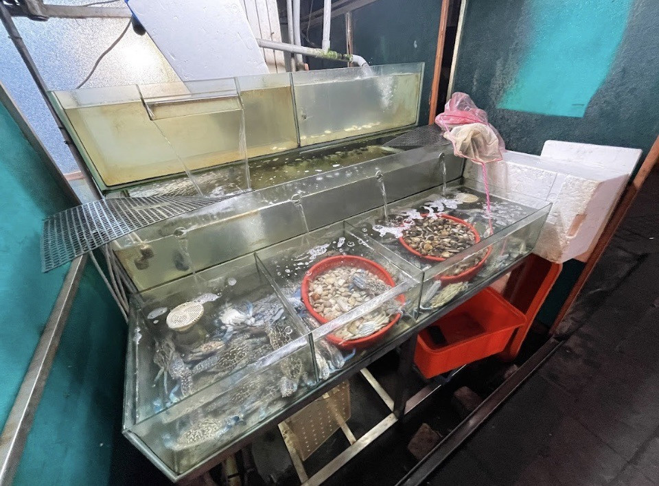 暫代性質的圖檔